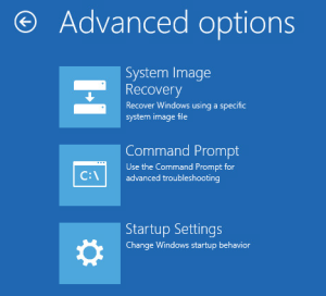Windows_UnsignedDriver_3-advancedOptions